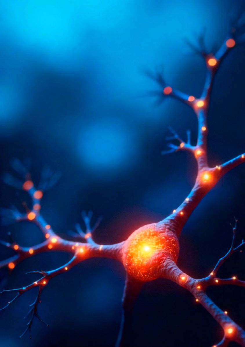 Tratamiento del insomnio con NESA