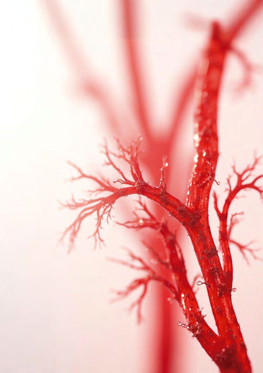 neuromodulación no invasiva