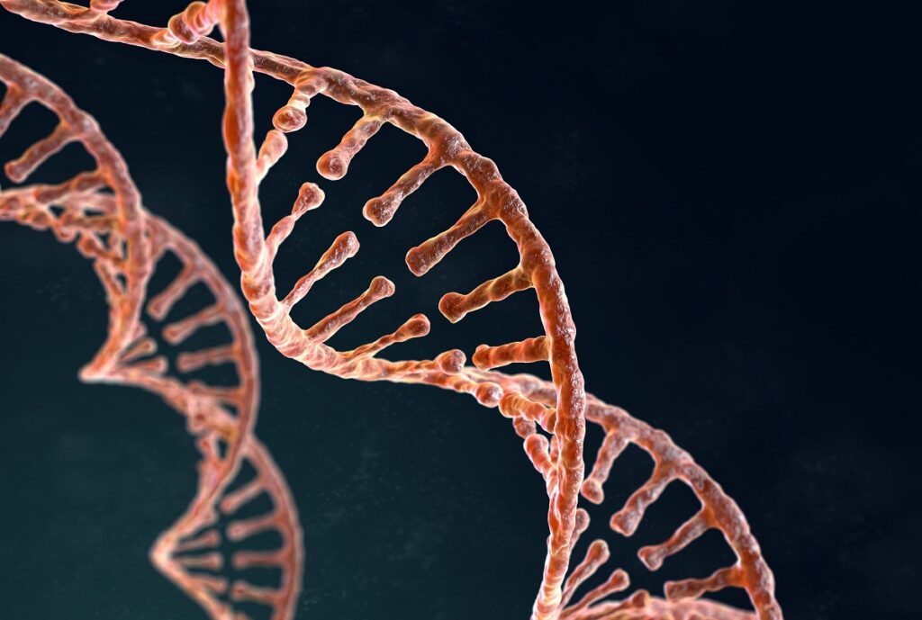 Array CGH en Madrid para el análisis avanzado del ADN y detección de alteraciones genéticas