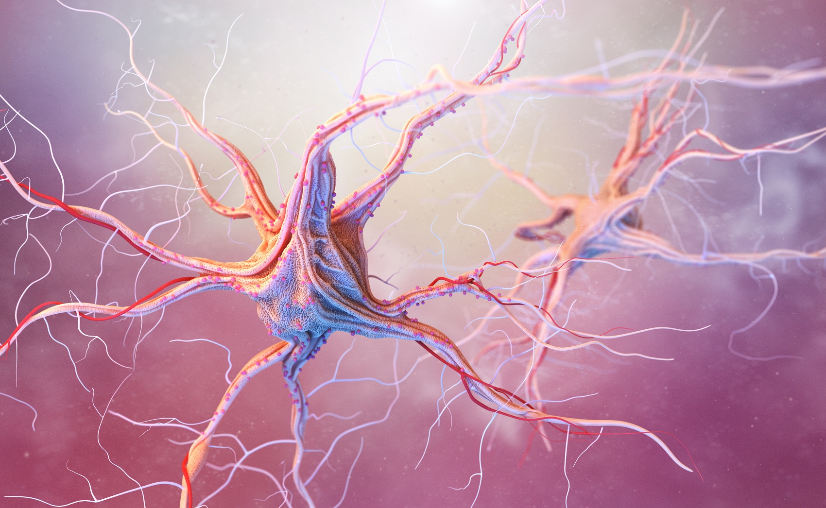 Panel genético de neurología para enfermedades neurológicas